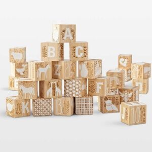 Crate and Barrel- Etched Wooden Alphabet and Animal Blocks